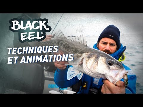 Black Eel N°3 150mm Vidéo animation