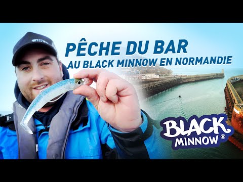 Black Minnow Taille N°1 70mm