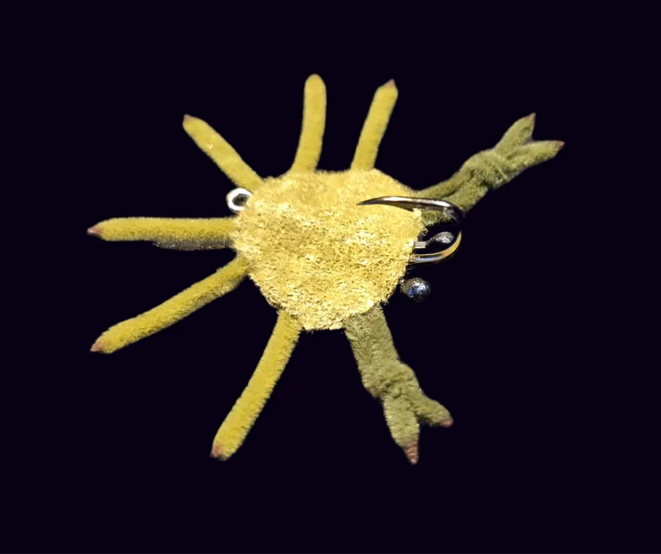 Crabe LB Mouches