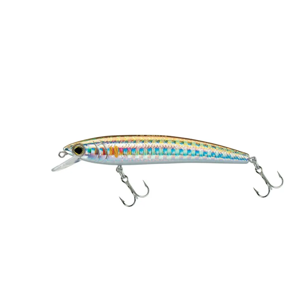 Pin's Minnow (F)