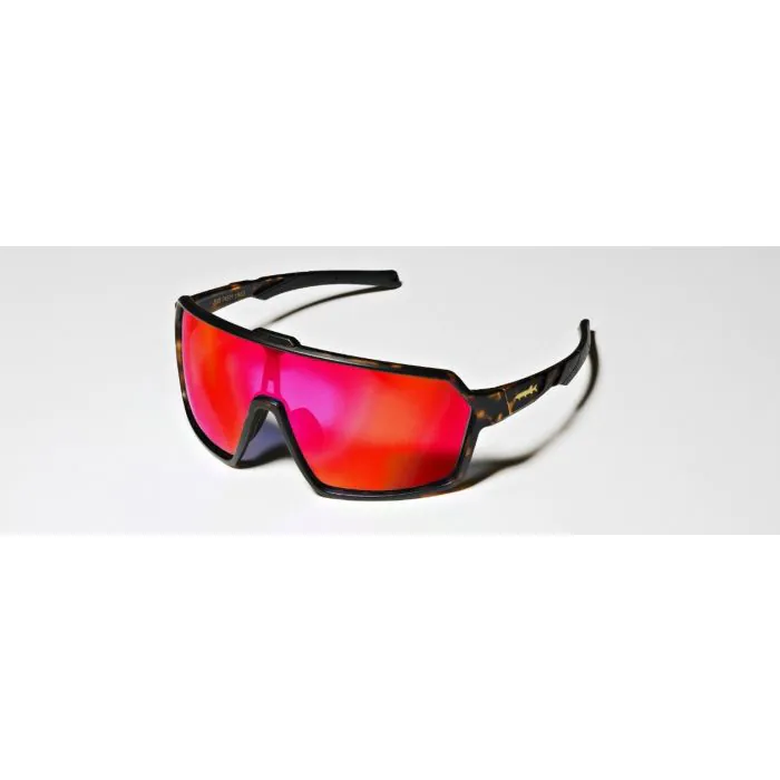 Lunettes Polarisante BIG Fish Virtual Ecaille de tortue