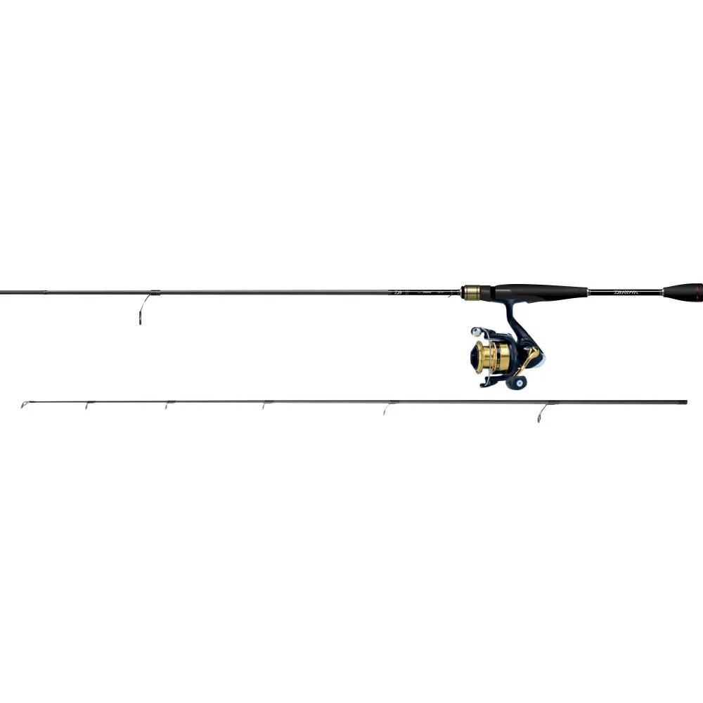 [PACKRS07] Ensemble Daïwa 742 HM HFS AF + RS 3000 C 10-35 G